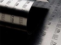 EXPANDED GRAPHITE